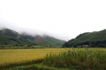 Chuyển đổi số cho đồng bào miền núi: Cơ hội bứt phá và thách thức