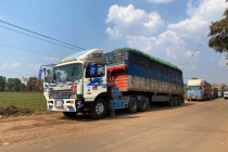 Thủ tướng chỉ đạo tháo gỡ vướng mắc trong triển khai Nghị định 46/2026/NĐ-CP về an toàn thực phẩm