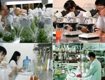 16 vị trí việc làm trong tổ chức khoa học và công nghệ công lập