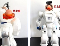 Trung Quốc chế tạo robot có bộ não làm từ tế bào gốc của con người