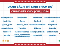 Lộ diện 24 gương mặt tham dự chung kết VNOI CUP 2024