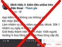 Mất tiền tỷ vì theo dõi, thả tim tiktok, nghe nhạc... việc nhẹ lương cao trên không gian mạng