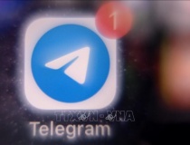 Telegram bị kiện tại Ấn Độ liên quan vụ rò rỉ dữ liệu cá nhân