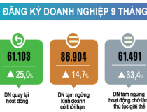 Bình quân mỗi tháng có 20 nghìn doanh nghiệp thành lập mới và quay trở lại hoạt động