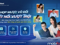 Nền tảng MobiFone Meet góp phần kết nối thành công các điểm cầu tại Hội nghị toàn quốc quán triệt, triển khai Nghị quyết Hội nghị TW 10