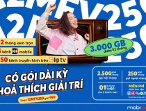 Đại tiệc data, tối đa quyền lợi từ các gói cước của MobiFone