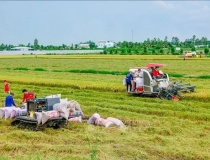 Lào Cai: Chuyển đổi số nông nghiệp đạt nhiều kết quả khả quan