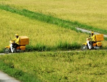 Bưu chính Việt Nam được xếp hạng nhóm phát triển tiến tới hoàn hảo