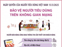 Bảo vệ người tiêu dùng trên không gian mạng