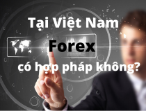 Chưa có một sàn Forex nào tại Việt Nam được cấp phép