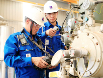 Xây dựng nguồn nhân lực xanh cho mục tiêu phát triển xanh