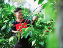Nông nghiệp tư nhân – Từ kẻ theo sau thành người tiên phong chuyển đổi số