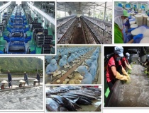 Tổng Bí thư Tô Lâm và tư duy lý luận mới về kinh tế tư nhân