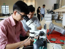 Ban hành Chuẩn chương trình đào tạo về vi mạch bán dẫn trình độ đại học, thạc sĩ