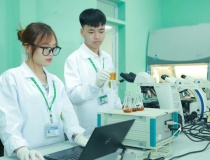 Nâng cao hiệu quả đầu tư hiện đại hóa giáo dục đại học