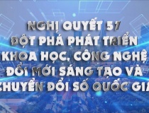 Sẵn sàng tiếp nhận, xử lý phản ánh, kiến nghị, sáng kiến, giải pháp phát triển KHCN, đổi mới sáng tạo và chuyển đổi số quốc gia