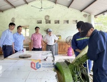 Khai thác trí tuệ, kiến tạo tương lai: Quảng Ninh đẩy mạnh hợp tác khoa học công nghệ