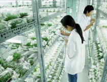 Hà Nội xây khu công nghệ cao sinh học tại quận Bắc Từ Liêm