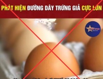 Thông tin về “trứng gà giả” tại Việt Nam là bịa đặt