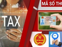 Sử dụng số định danh cá nhân thay cho mã số thuế từ 01/7/2025: Lưu ý với người nộp thuế