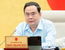 “Hàng giả, hàng nhái rất nhiều nhưng không cơ quan nào chịu trách nhiệm”