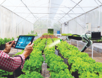 TP.HCM phát động cuộc thi Khởi nghiệp đổi mới sáng tạo trong lĩnh vực nông nghiệp công nghệ cao