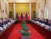 Chủ tịch nước Lương Cường tiếp Đại sứ EU và các nước thành viên