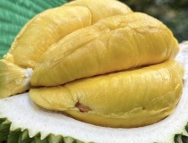 Chuyên gia đề xuất dùng AI kiểm soát tồn dư hóa chất trong sầu riêng