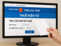 Bị lấy cắp mã số thuế: Cảnh báo về bảo mật thông tin cá nhân