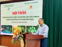 Định hình thị trường tín chỉ carbon: Đòi hỏi thể chế mạnh