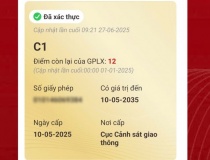 Cách hiển thị bằng lái xe mới trên VNeID sau khi hoàn thành thủ tục online