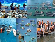 Thủy sản Việt Nam cần mô hình cảnh báo môi trường biển thông minh