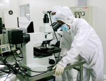 Hà Nội xây dựng cơ chế đặc thù phát triển khoa học và đổi mới sáng tạo