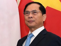 Phát huy vai trò, sứ mệnh mới của Đảng bộ Bộ Ngoại giao trong kỷ nguyên vươn mình của dân tộc