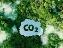 Việt Nam xây dựng thị trường carbon: Từ cam kết Net Zero đến 
