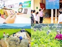 Dữ liệu khai thác từ cơ sở dữ liệu các chương trình mục tiêu quốc gia có giá trị sử dụng chính thức
