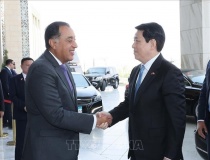 Thủ tướng Ai Cập đề xuất thành lập Hội đồng kinh doanh Việt Nam - Arab