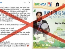 Tiktoker Phạm Thoại bị xử phạt vì thông tin sai sự thật