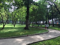 TP.HCM tăng tốc chuyển đổi năng lượng xanh sau sáp nhập