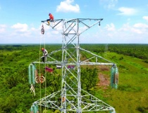 ADB, WB rót hơn 12 tỷ USD cho năng lượng tái tạo và lưới điện ASEAN