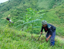 Quảng Trị khởi động dự án hỗ trợ sinh kế thích ứng biến đổi khí hậu