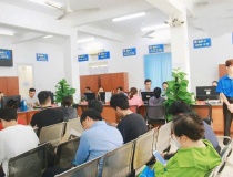 TPHCM: Dấu ấn chính quyền số với hơn nửa triệu hồ sơ trực tuyến trong 45 ngày