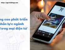 Nâng cao phát triển nhân lực ngành thương mại điện tử