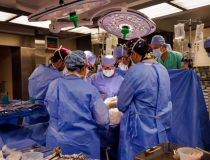 Đột phá y học: FDA phê duyệt thử nghiệm ghép thận lợn, mở ra hy vọng mới cho bệnh nhân suy thận