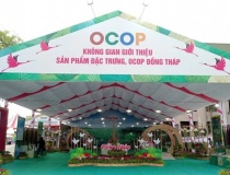 Thương mại Đồng Tháp: Tăng tốc số hóa, mở rộng chuỗi giá trị