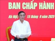 Đồng chí Trần Cẩm Tú: Chuẩn bị chu đáo, kỹ lưỡng Đại hội đại biểu Đảng bộ các cơ quan Đảng Trung ương lần thứ I