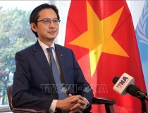 Việt Nam sẵn sàng gánh vác các công việc chung của Liên Hợp Quốc