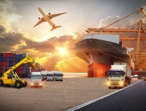 Hàng Việt 'bay cao' nhờ thương mại điện tử xuyên biên giới