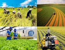 Ứng dụng AI trong phát triển nông nghiệp, nhiều tỉnh ghi nhận kết quả vượt bậc