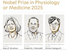 Nobel Y sinh 2025 vinh danh 3 nhà khoa học với nghiên cứu miễn dịch